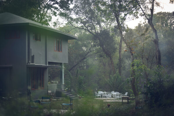 Coorg Wild Walk