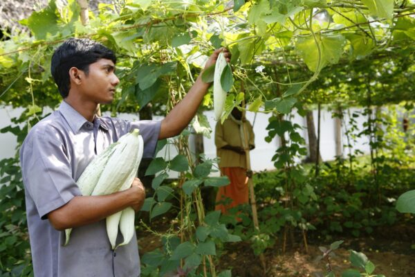 Kalari Kovilakom, CGH Earth - Image 6