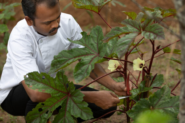 Kalari Rasayana, CGH Earth - Image 7