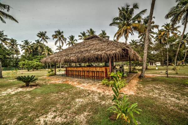 Marari Beach - Image 2
