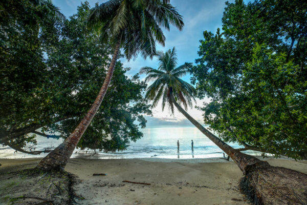 Tilar Siro, Andamans - Image 15