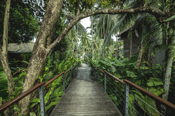 Tilar Siro, Andamans - Image 13