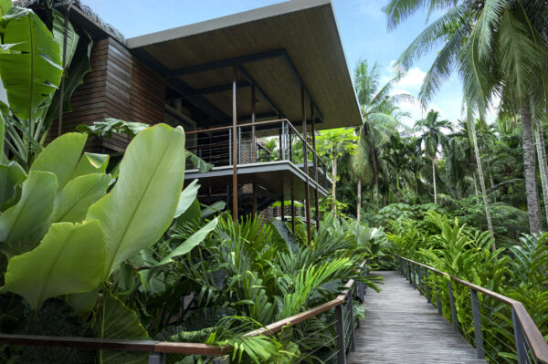 Tilar Siro, Andamans - Image 9