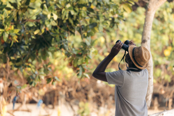 Tilar Siro, Andamans - Image 7
