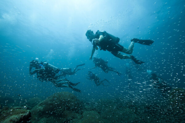 Tilar Siro, Andamans - Image 4