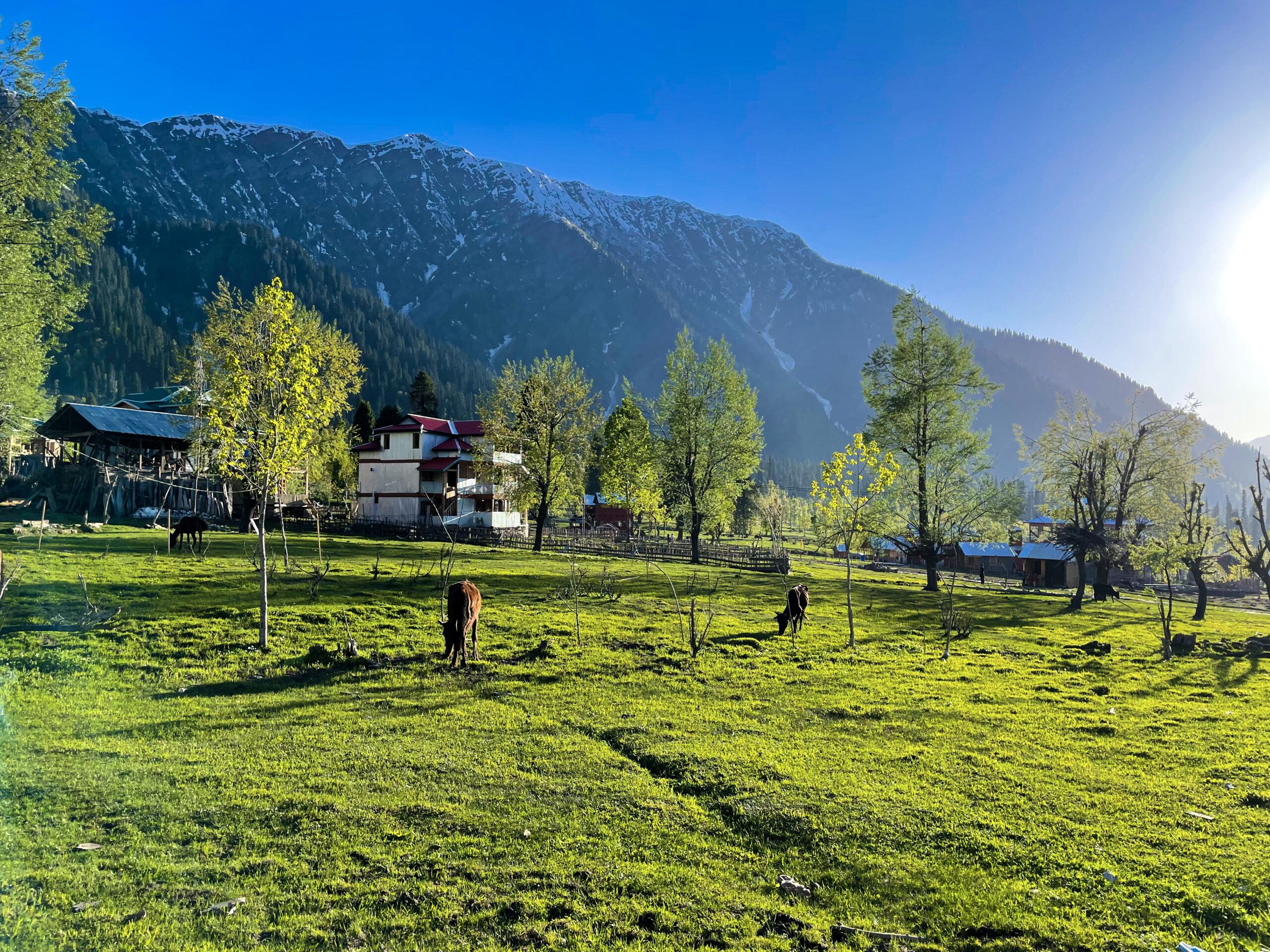 Kashmir Trip